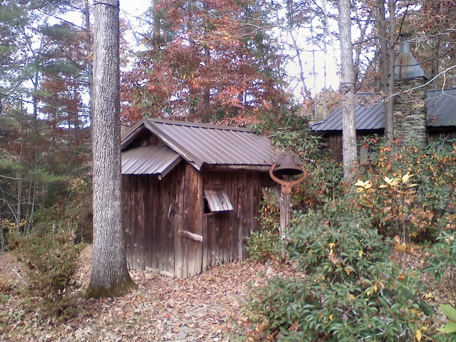 Small metal roof on a rough sawn shed in the woods in Roberta